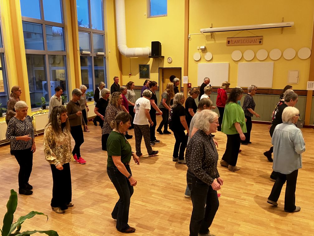 Årsmöte_2026_16 Och så provar vi den nya dansen